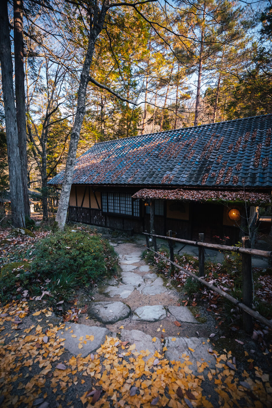 Wanosato