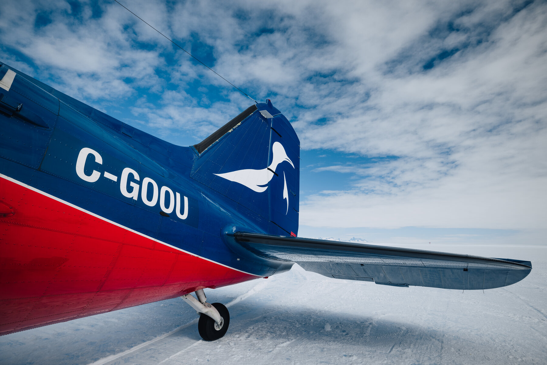Close-up of the Basler BT-67 tail section with the registration C-GOOU in white lettering on the blue and red livery