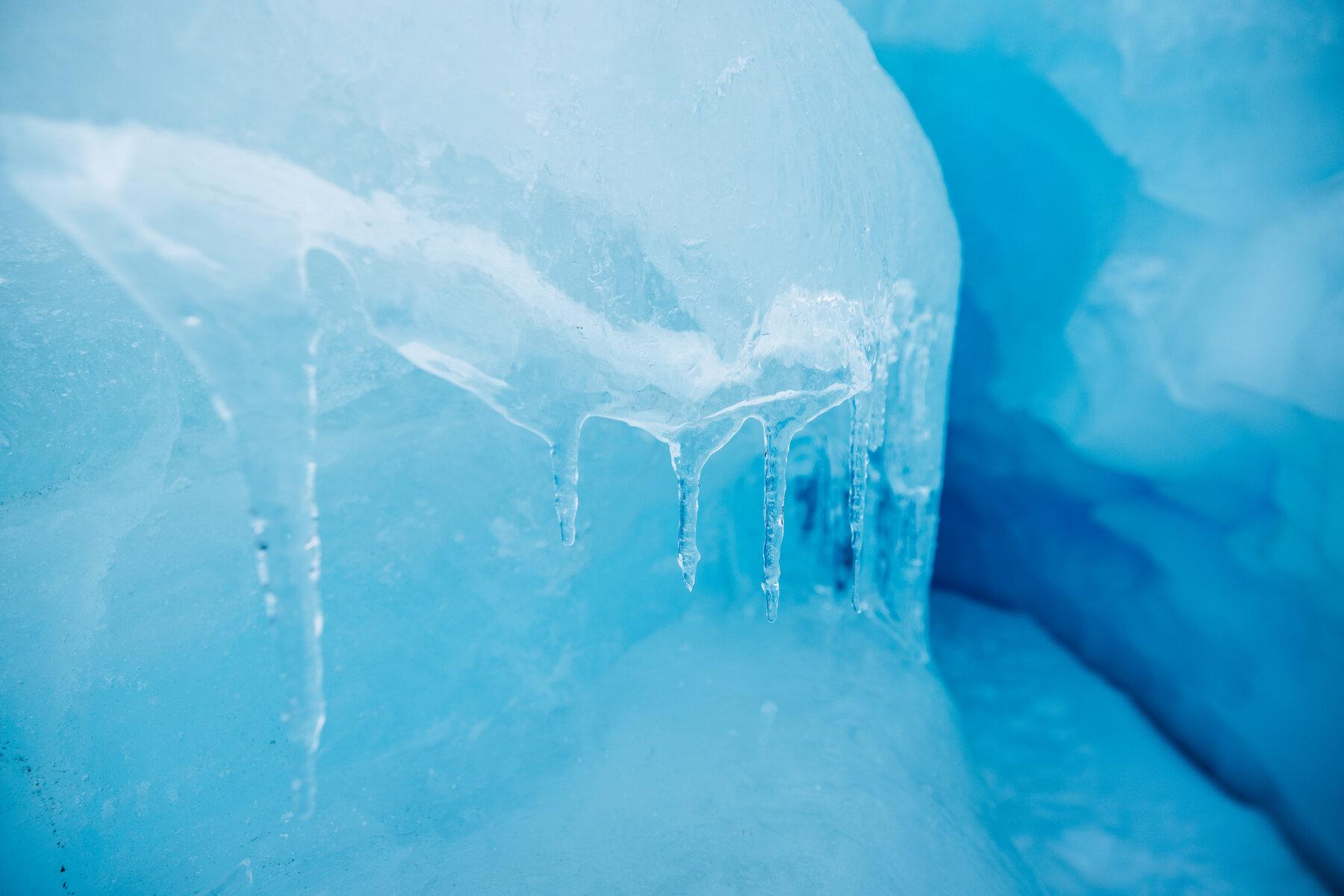 Close-up of delicate ice stalactites hanging from the ceiling of a glacial cavern