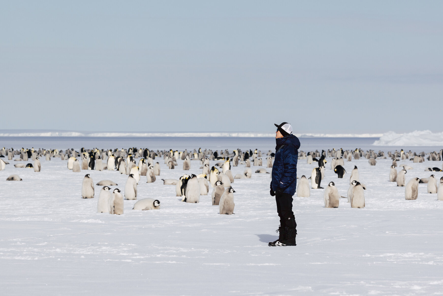 Jason in a blue parka standing in profile gazing out over the Emperor penguin colony at Atka Bay