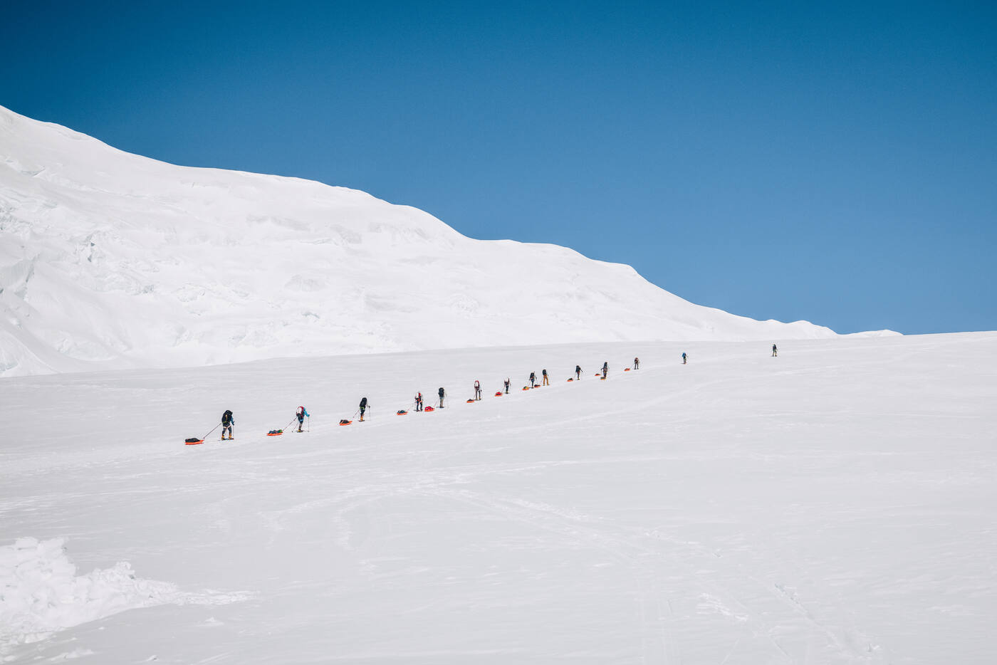 A long line of climbers hauling sleds up a broad snow slope under deep blue sky