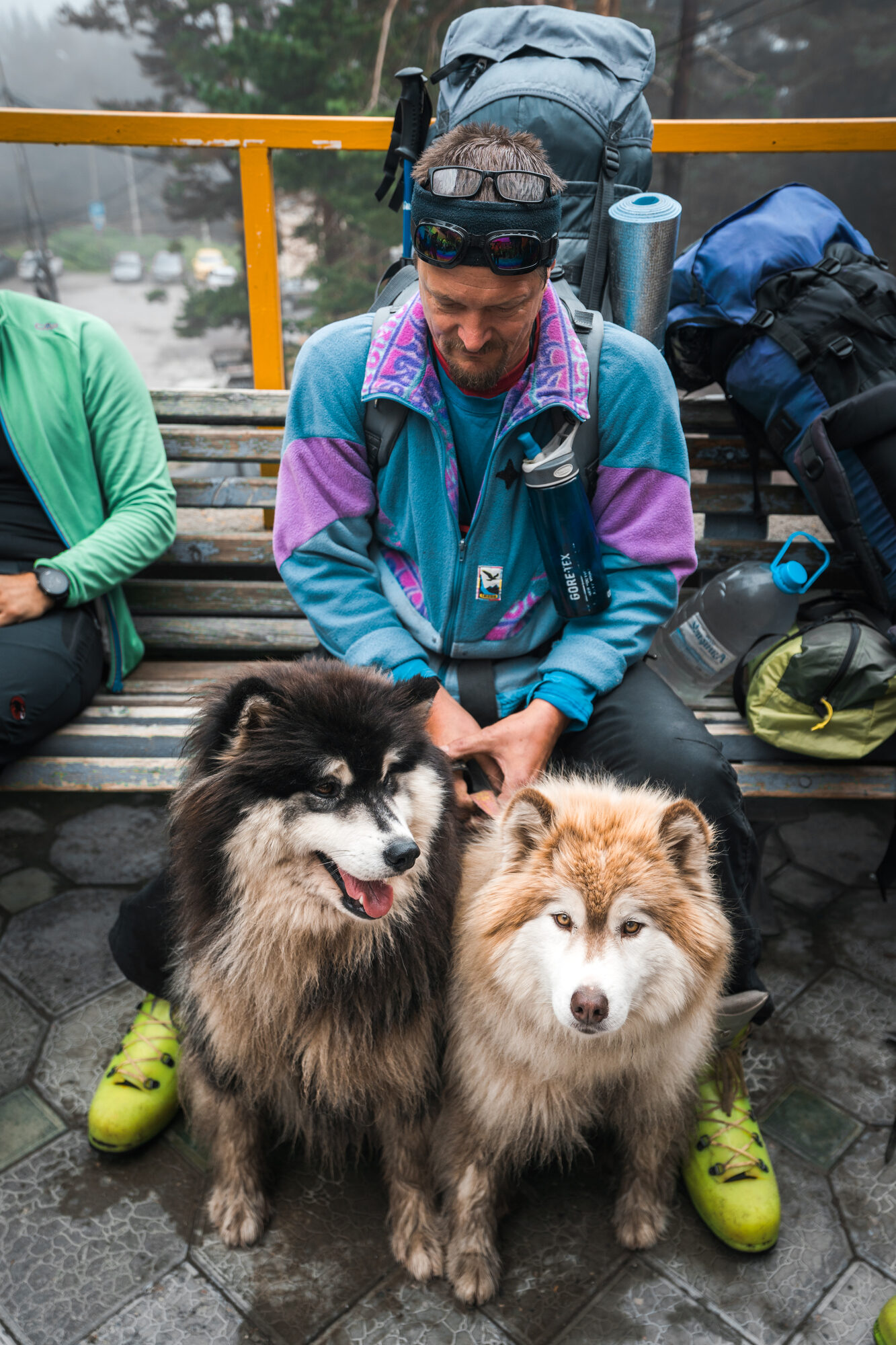 Climber on a bench with two large fluffy Caucasian shepherd dogs at a rest stop on the approach