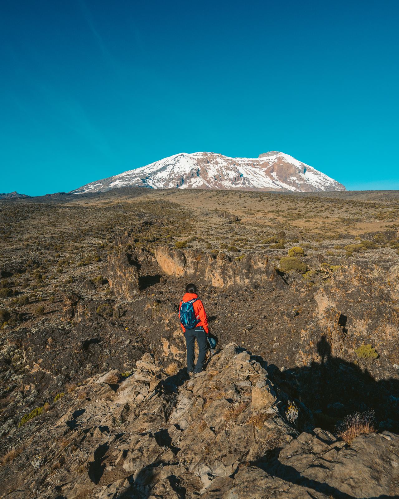 Lone hiker in red jacket on dark volcanic rock beneath Kilimanjaro's snowy summit