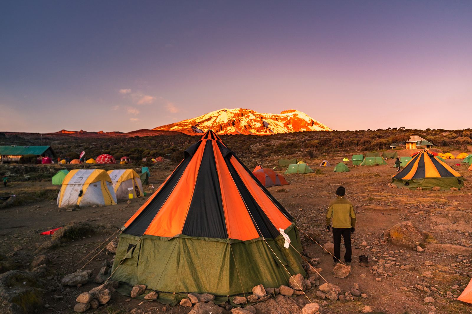 Camp tents at dusk with Kilimanjaro's snow-covered summit lit up by the last light