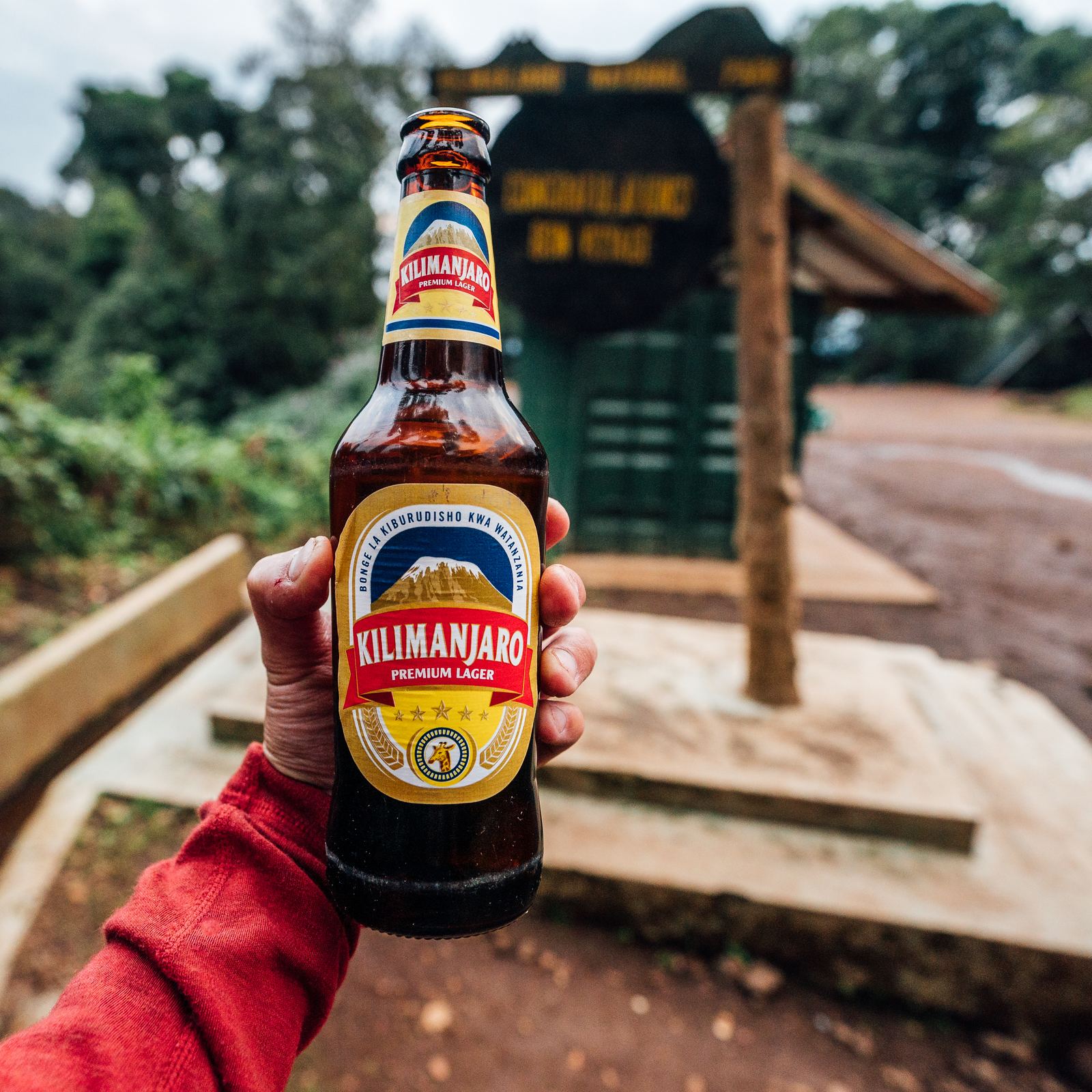 Hand holding a Kilimanjaro Premium Lager beer bottle at Mweka Gate after the descent