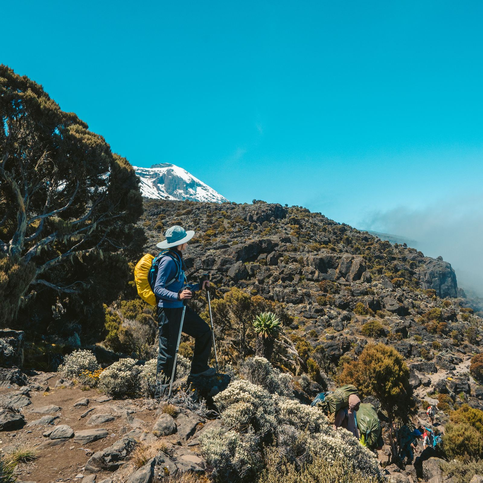 Climber with Kilimanjaro dominating the skyline above the clouds