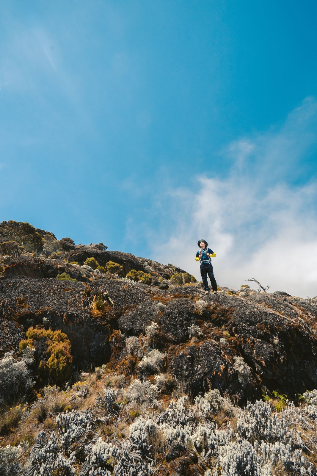 Hiker ascending rocky moorland on Kilimanjaro with scattered vegetation under clear blue sky