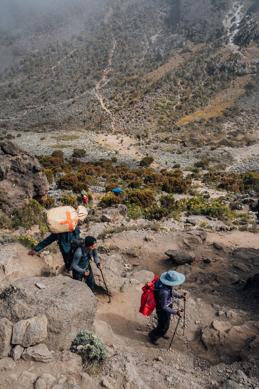 Porters carrying expedition loads up a rocky gully in Kilimanjaro's heath zone